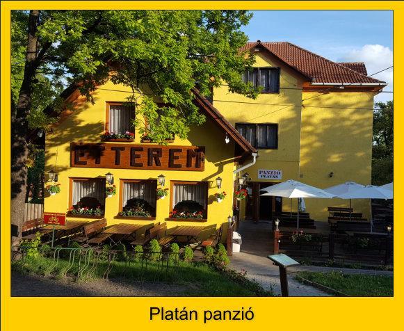 Platan Panzio Hotel Dobogoko Bagian luar foto
